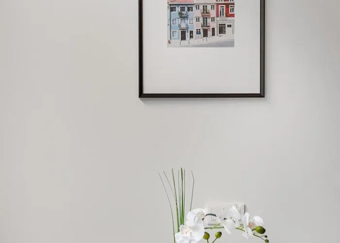 Saldanha Prime Oasis